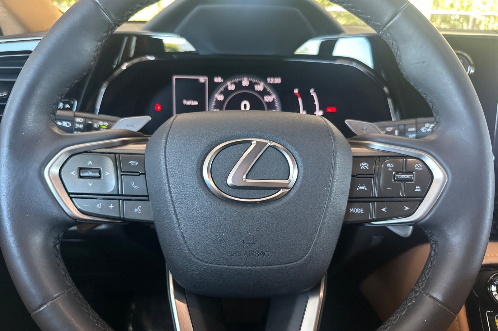 2024 Lexus NX 250 Premium