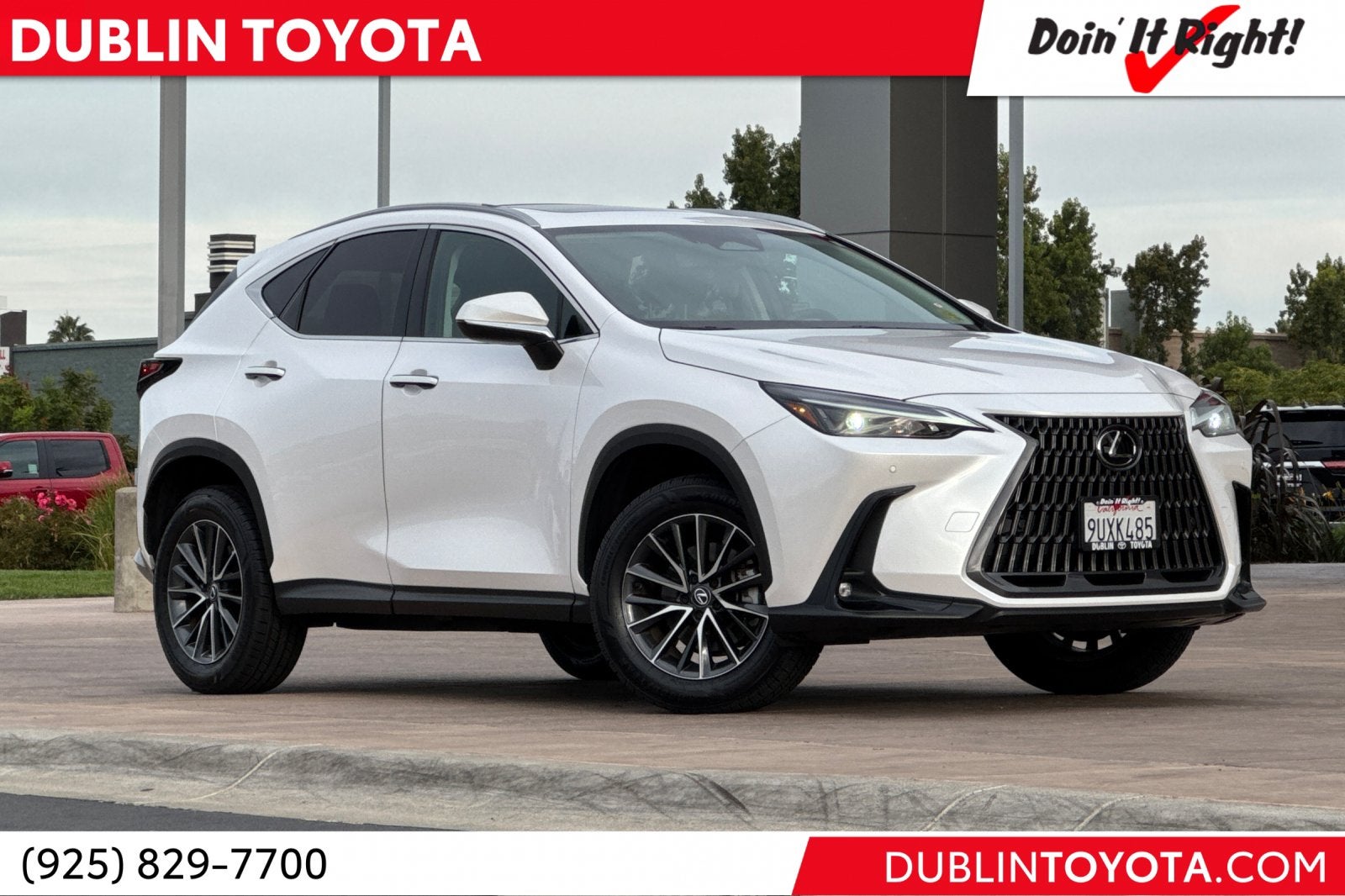 2025 Lexus NX 250 Premium