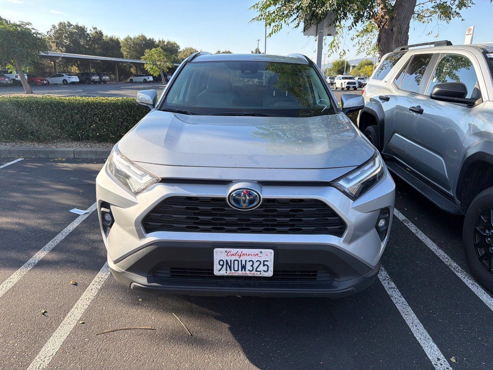 2024 Toyota RAV4 Hybrid XLE Premium