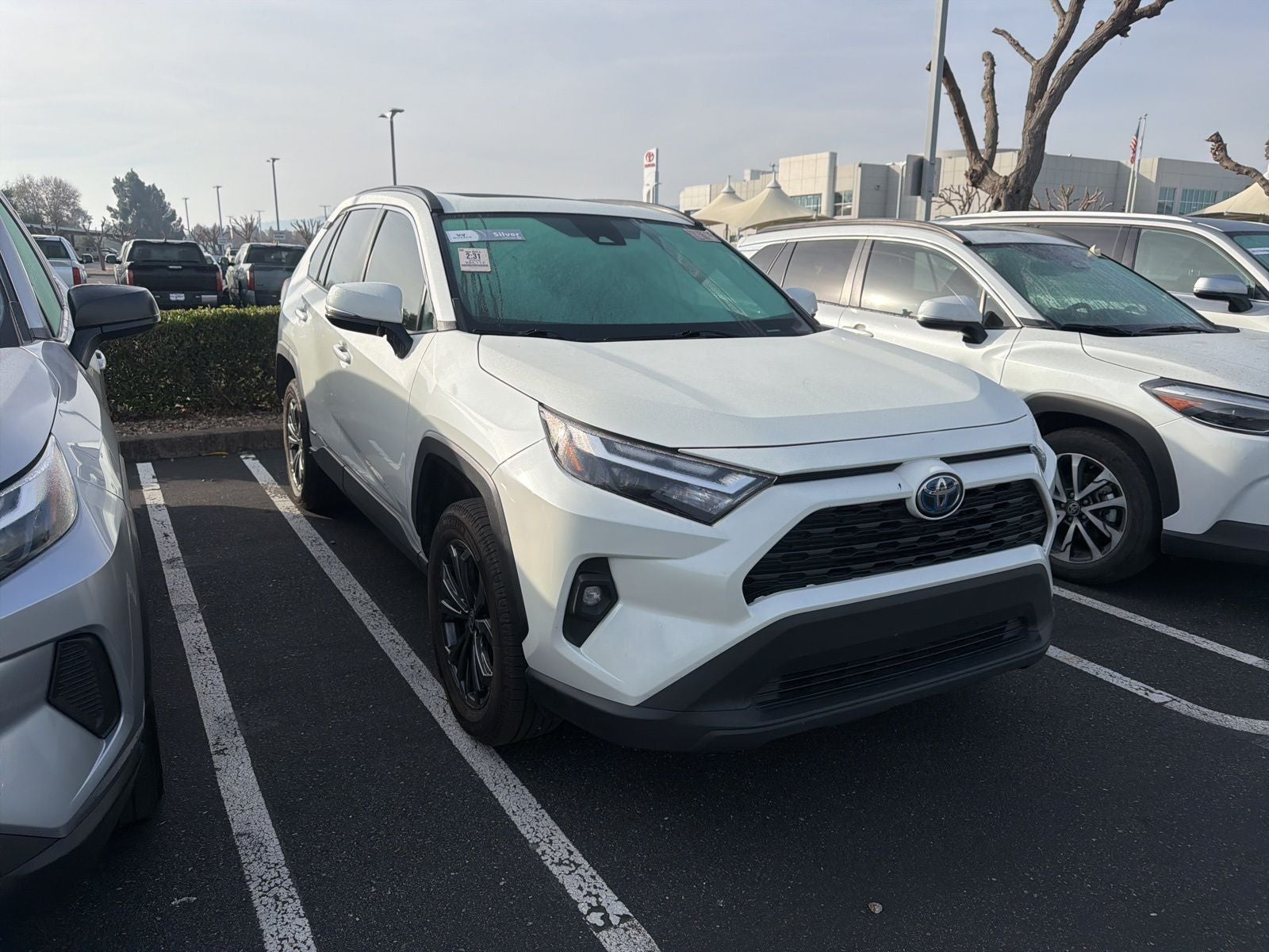 Certified 2022 Toyota RAV4 XLE Premium with VIN 4T3B6RFV5NU079750 for sale in Northfield, Minnesota