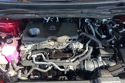 2025 Toyota Sienna XLE 8 Passenger