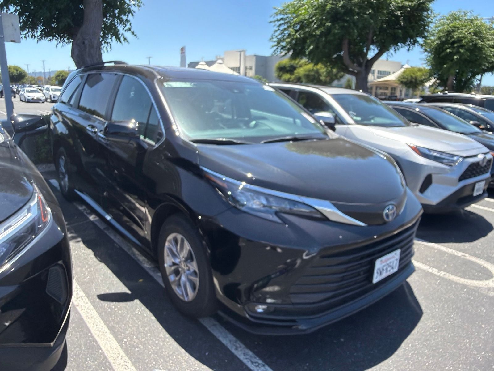 2025 Toyota Sienna XLE 8 Passenger