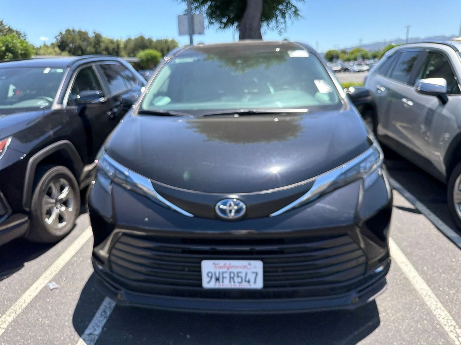 2025 Toyota Sienna XLE 8 Passenger