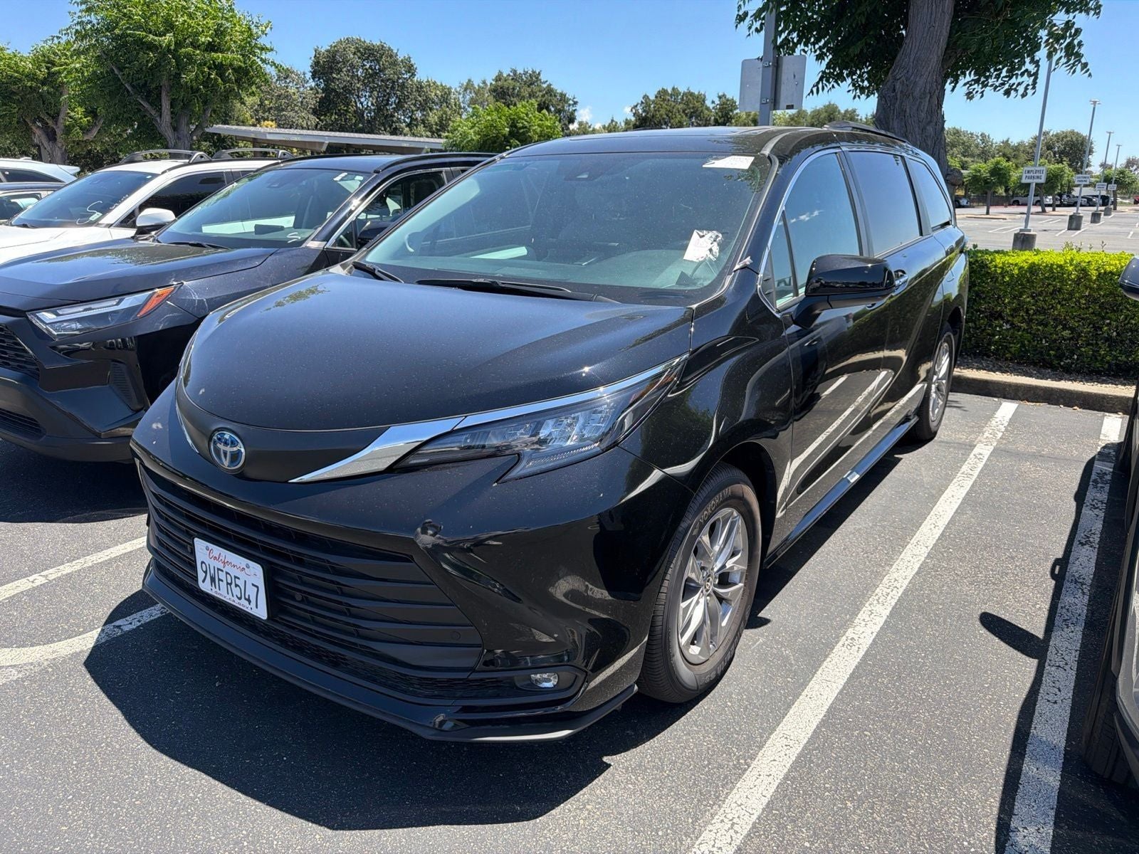 2025 Toyota Sienna XLE 8 Passenger