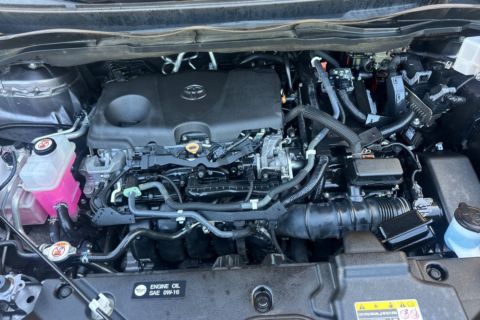 2021 Toyota Sienna XLE 8 Passenger