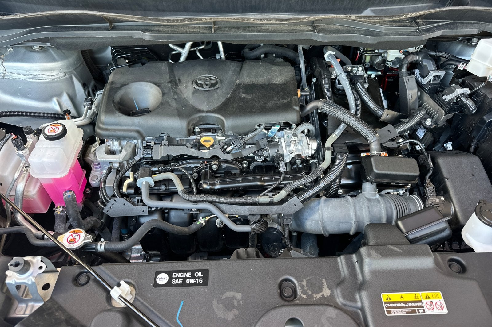 2024 Toyota Sienna XLE 8 Passenger