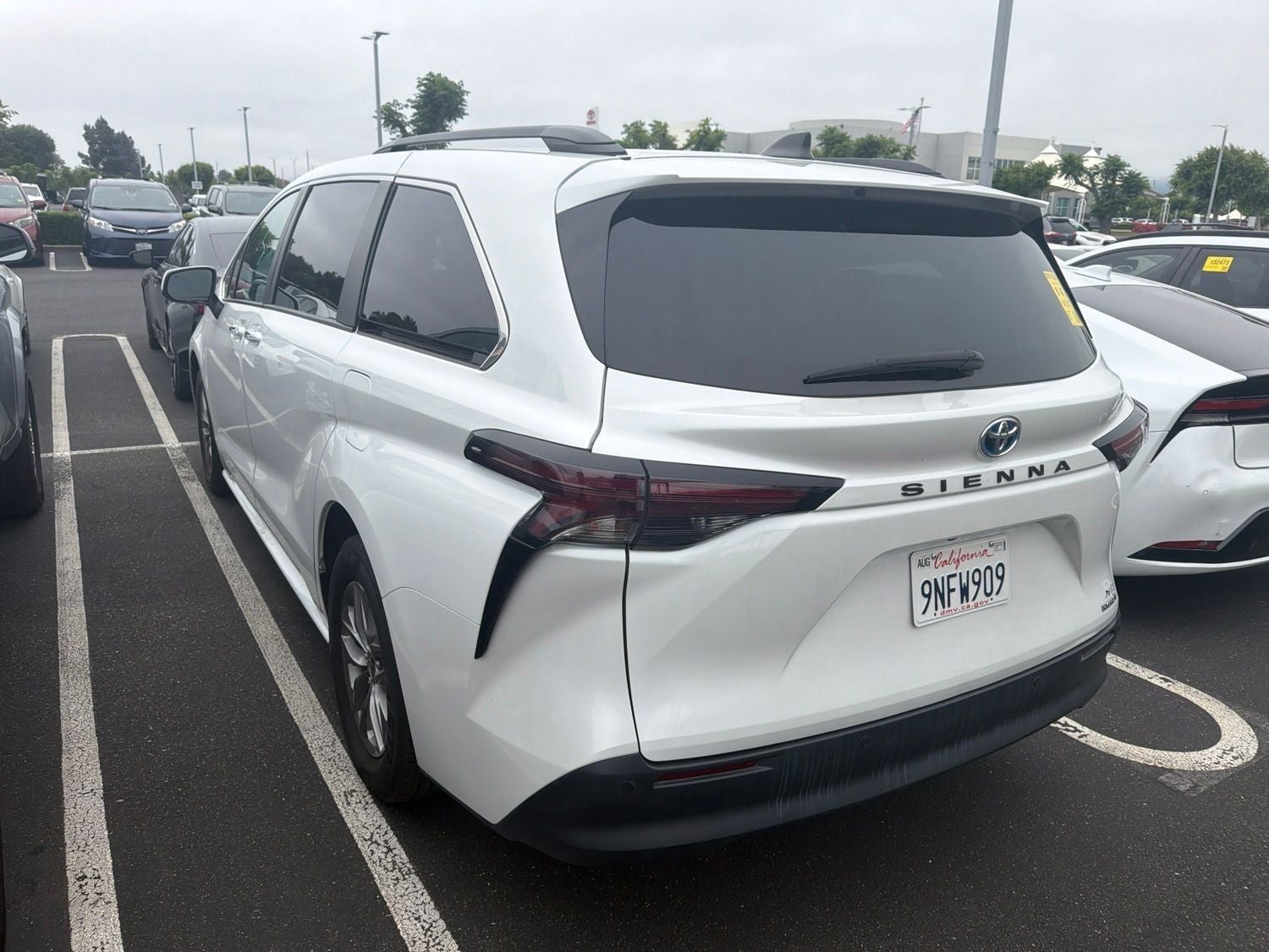 2024 Toyota Sienna XLE 8 Passenger