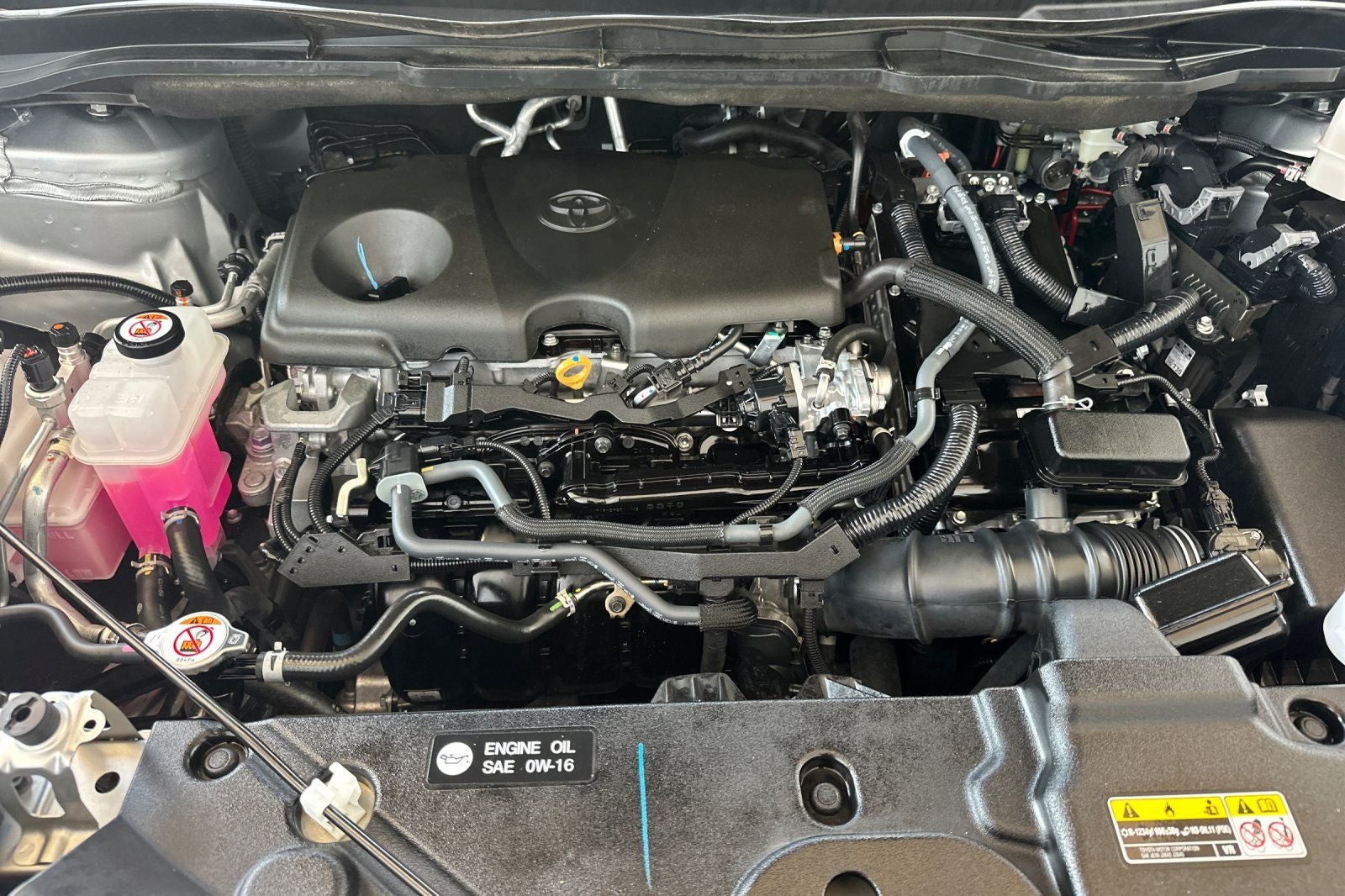 2024 Toyota Sienna XLE 8 Passenger